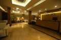 Modis Gallery